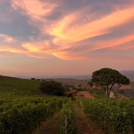 Quinta Dos Espinheiros 度假居 Provesende