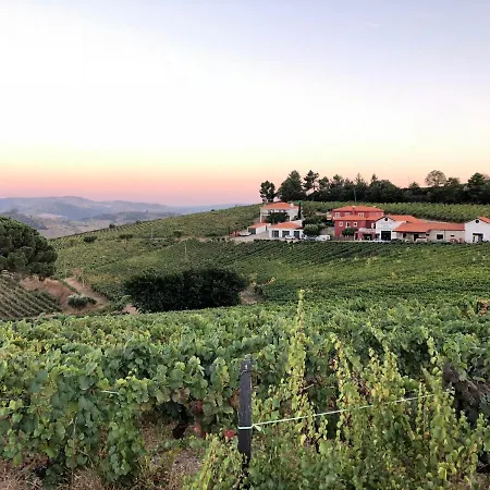 度假居 Quinta Dos Espinheiros