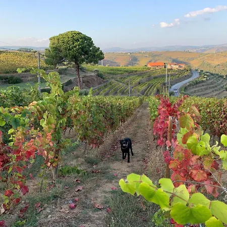 בית נופש Quinta Dos Espinheiros *