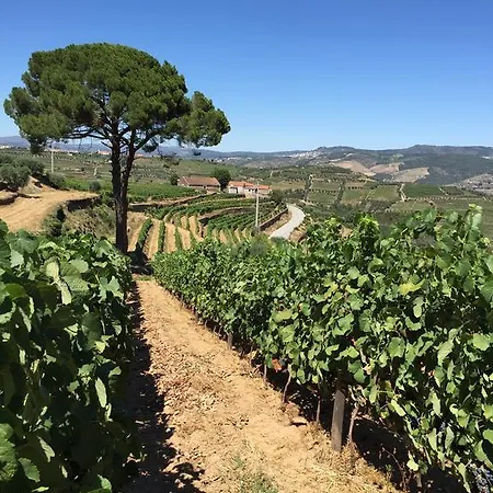 Quinta Dos Espinheiros Semesterbostad