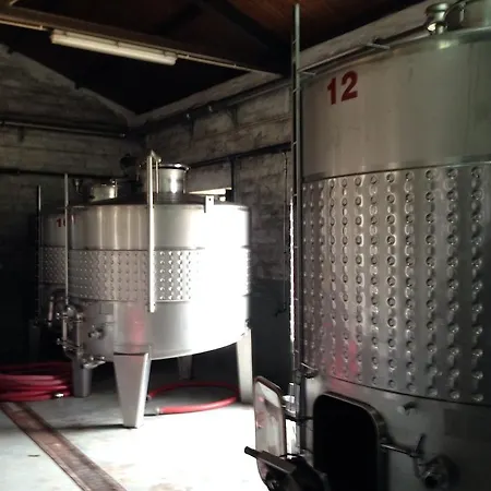 度假居 Quinta Dos Espinheiros