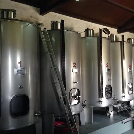 Quinta Dos Espinheiros Provesende