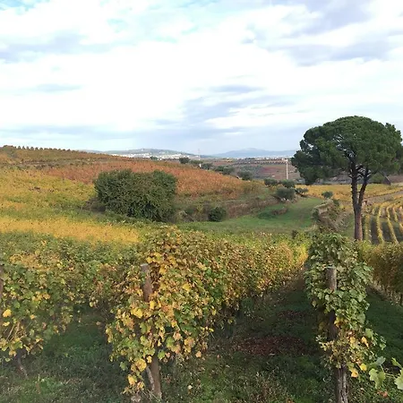 Quinta Dos Espinheiros