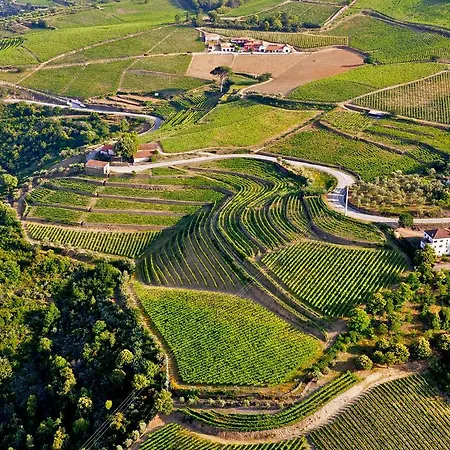 Quinta Dos Espinheiros Semesterbostad Provesende