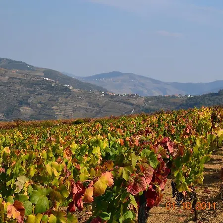 Quinta Dos Espinheiros Feriehus