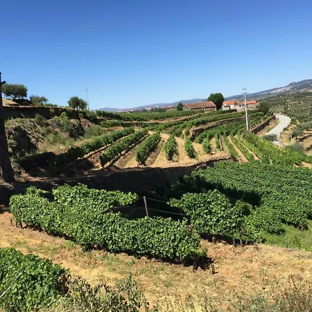 Quinta Dos Espinheiros 度假居 *