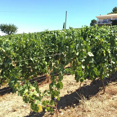 Quinta Dos Espinheiros Provesende