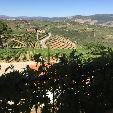 Semesterbostad Quinta Dos Espinheiros Provesende