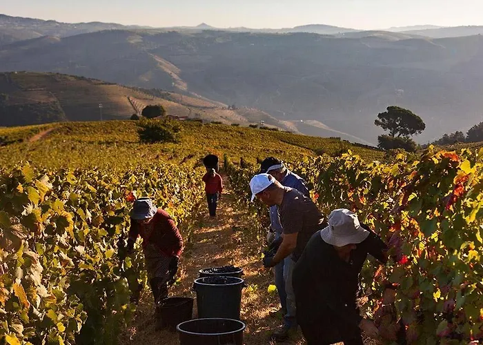 Quinta Dos Espinheiros *