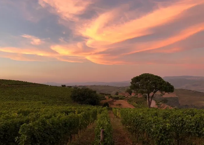 Quinta Dos Espinheiros בית נופש Provesende