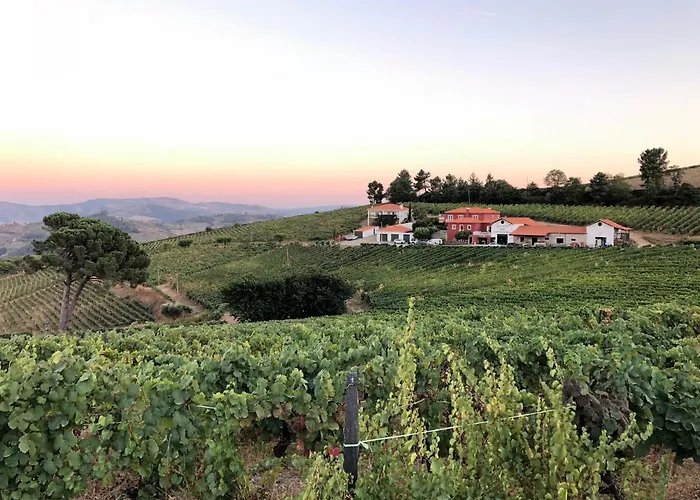 Dom wakacyjny Quinta Dos Espinheiros