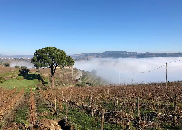 Dom wakacyjny Quinta Dos Espinheiros