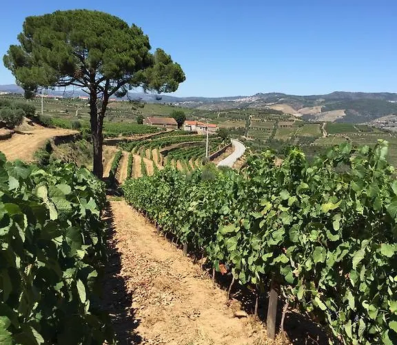 Quinta Dos Espinheiros Дом отдыха