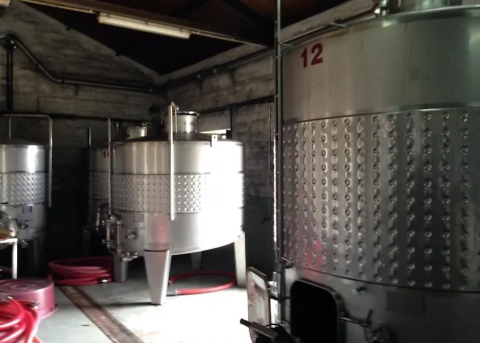 Дом отдыха Quinta Dos Espinheiros