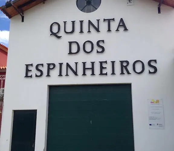 Дом отдыха Quinta Dos Espinheiros Provesende