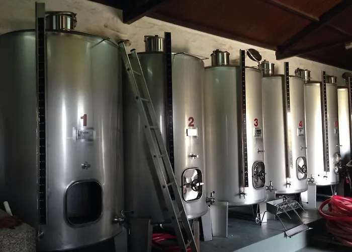 Quinta Dos Espinheiros Provesende