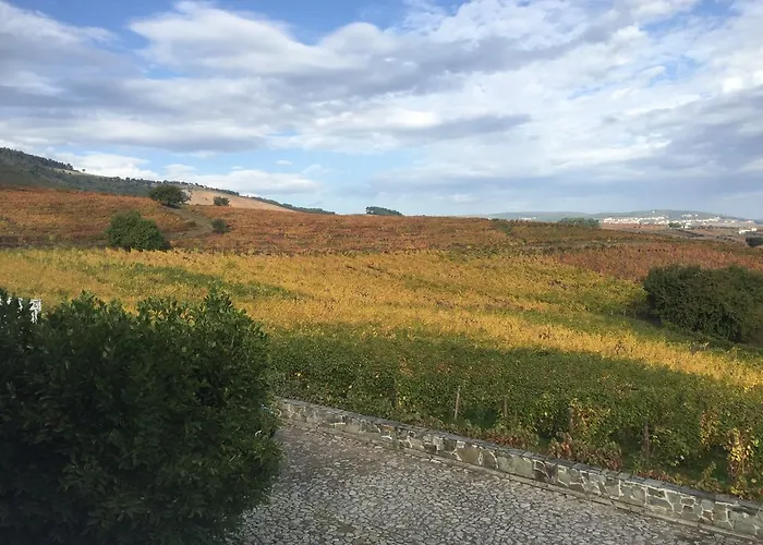 Дом отдыха Quinta Dos Espinheiros