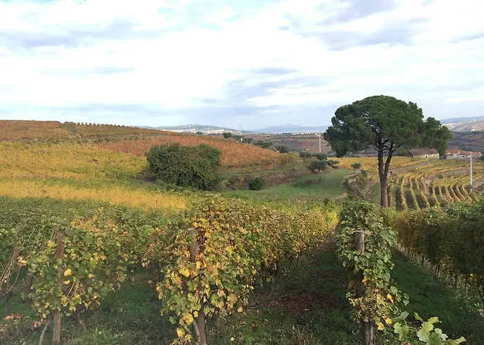 Quinta Dos Espinheiros