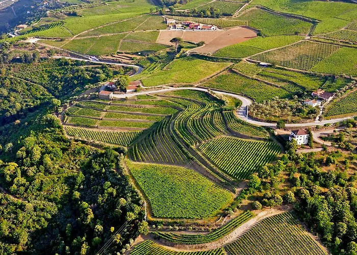 Quinta Dos Espinheiros בית נופש Provesende