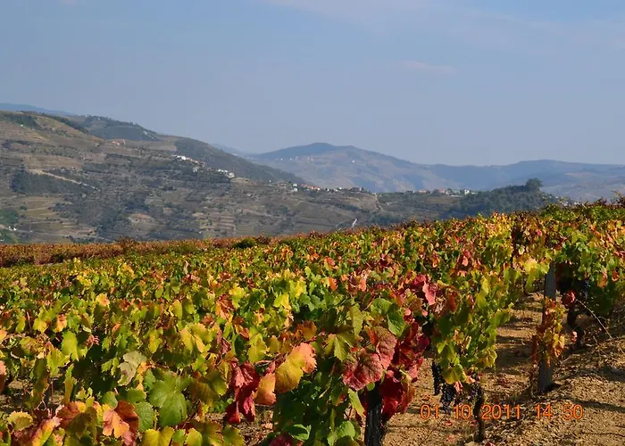 Quinta Dos Espinheiros Дом отдыха