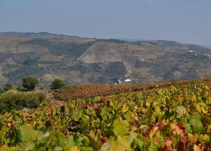 Quinta Dos Espinheiros