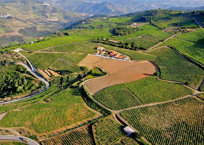 בית נופש Quinta Dos Espinheiros Provesende