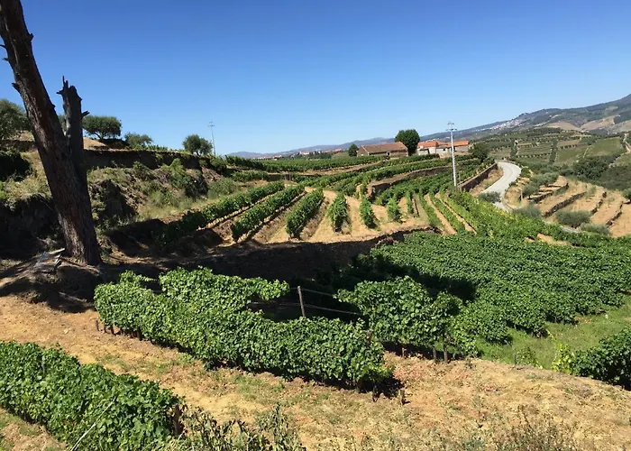 Quinta Dos Espinheiros Дом отдыха *