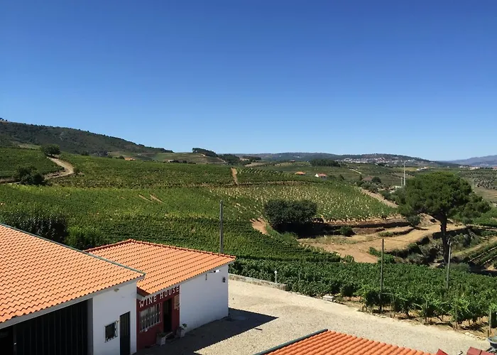 Quinta Dos Espinheiros בית נופש Provesende