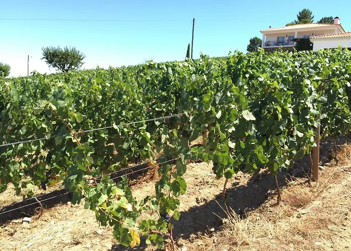 Quinta Dos Espinheiros Provesende
