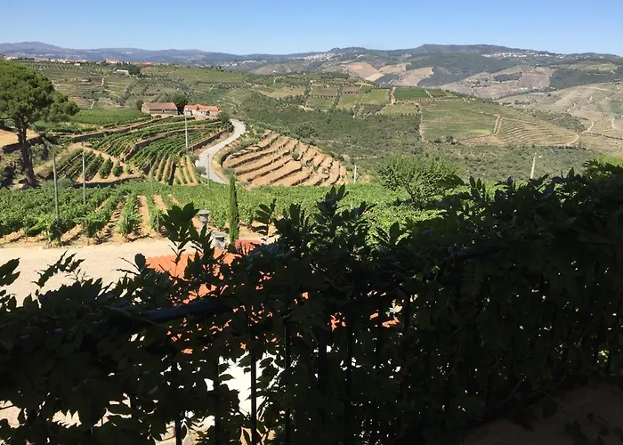 Quinta Dos Espinheiros * Provesende