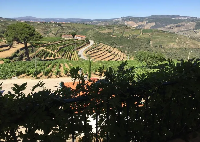 Дом отдыха Quinta Dos Espinheiros Provesende