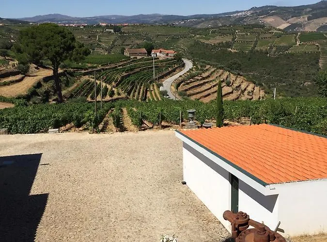 Дом отдыха Quinta Dos Espinheiros Provesende